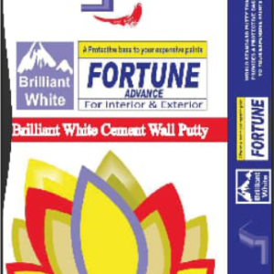 Brilliant White Cement Wall Putty